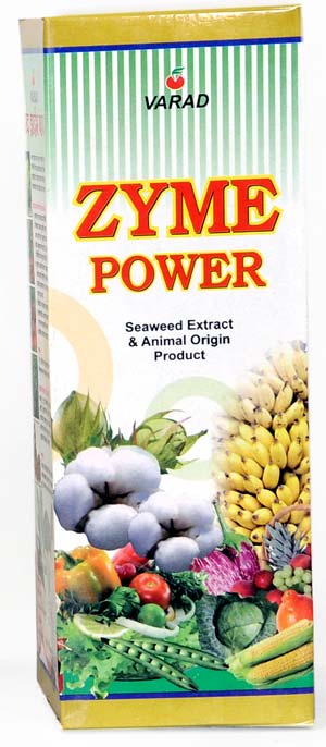 Manufacturers Exporters and Wholesale Suppliers of Zyme Power Mumbai Maharashtra